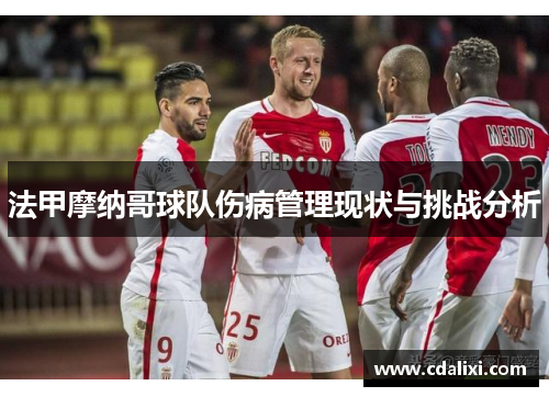 法甲摩纳哥球队伤病管理现状与挑战分析