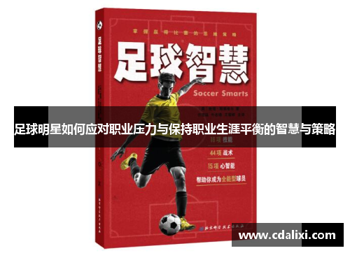 足球明星如何应对职业压力与保持职业生涯平衡的智慧与策略