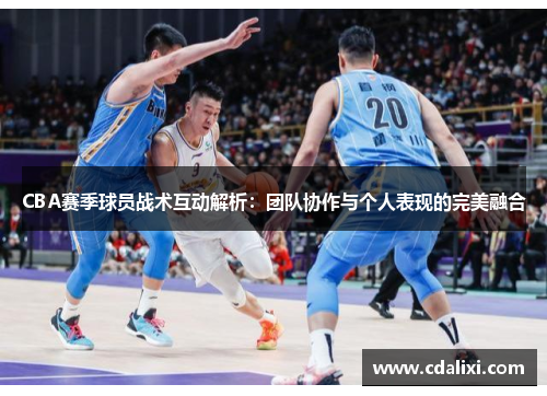 CBA赛季球员战术互动解析：团队协作与个人表现的完美融合