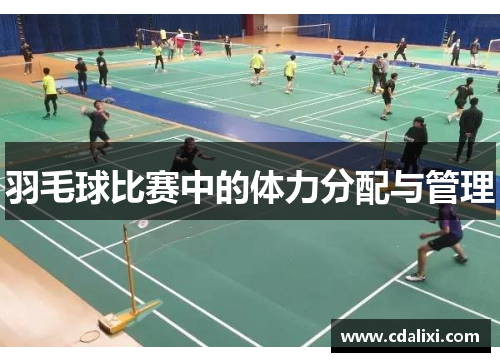 羽毛球比赛中的体力分配与管理