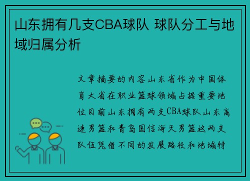 山东拥有几支CBA球队 球队分工与地域归属分析