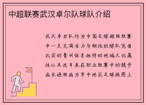 中超联赛武汉卓尔队球队介绍